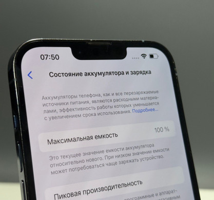 iPhone 13 Pro Max 256GB Sierra Blue 100%